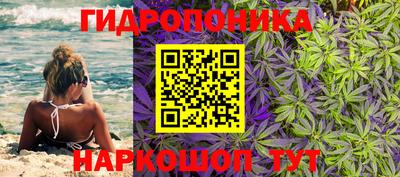 спиды Кандалакша
