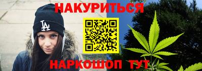 прущие грибы Канаш