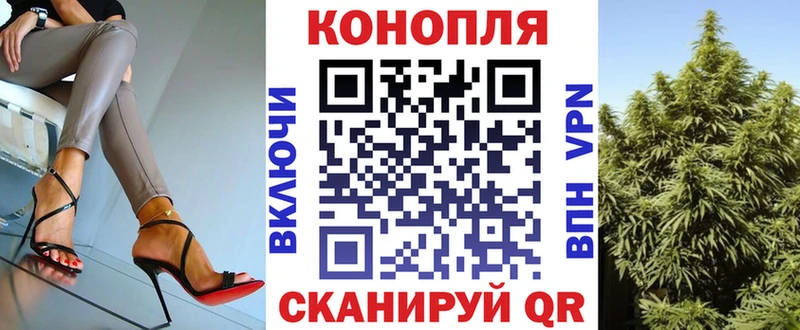 Канабис MAZAR  как найти наркотики  Новый Уренгой 